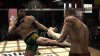 Supremacy MMA (Xbox 360)