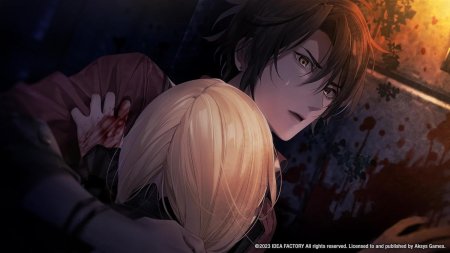 игра Virche Evermore -ErroR: Salvation- (Switch) для Nintendo Switch