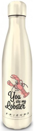  - Pyramid:  (Friends)    (You are my Lobster) Metal Drinks Bottle (MDB25499) 550 