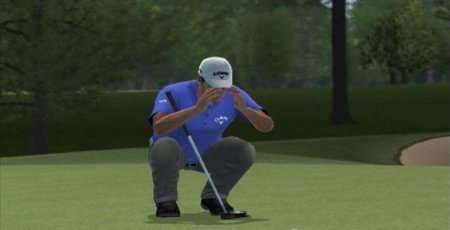   Tiger Woods PGA Tour 11 (Wii/WiiU)  Nintendo Wii 