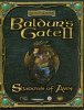 Baldur's Gate 2. Тени Амна Box (PC)