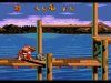   (Donkey Kong)   (16 bit) 