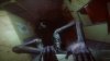 Купить игру F.E.A.R. 2: Project Origin (PS3) для Sony Playstation 3