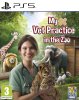 My Vet Practice in the Zoo (PS5)