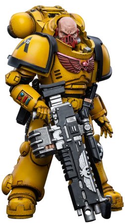  JoyToy:    1:18 (Intercessors Rogfried Pertanal 1:18)  40K   (Warhammer 40K Imperial Fists) (JT3440) 13 