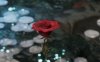 Clair Obscur: Expedition 33 Русская Версия (PS5)