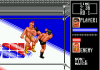 Wrestle War (16 bit) 