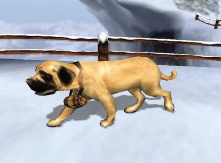 Dog's Life (PS2)