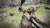 игра Dragon’s Dogma: Dark Arisen [Collector's Package] (Multi-Language) (Nintendo Switch) для Nintendo Switch
