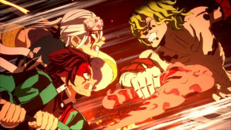 игра Demon Slayer: Kimetsu no Yaiba The Hinokami Chronicles 2 (Switch) для Nintendo Switch