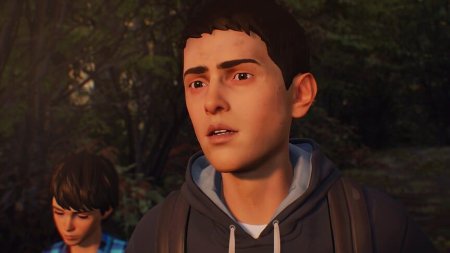 Игра Life is Strange 2 Коллекционное издание (Collector’s Edition) Русская Версия (PS4) Playstation 4