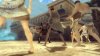 Купить игру Clash of the Titans (Битва титанов) (PS3) для Sony Playstation 3