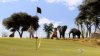 Купить игру Everybody's Golf World Tour (PS3) для Sony Playstation 3