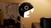   ThinkGeek:  (Mario)   (Chain Chomps) 53 