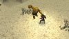  Dungeon Siege: Throne of Agony (PSP) 
