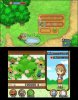 Купить игру Harvest Moon: The Tale of Two Towns 3D (Nintendo 3DS) на 3DS