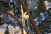 Amped 3 (Xbox 360)