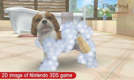   Nintendogs + Cats: -   .   (Nintendo 3DS)  3DS