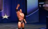 Купить игру WWE All Stars (Nintendo 3DS) на 3DS