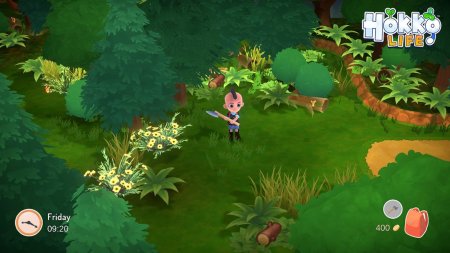 игра Hokko Life Русская Версия (Switch) для Nintendo Switch