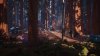 Игра Life is Strange 2 Коллекционное издание (Collector’s Edition) Русская Версия (PS4) Playstation 4