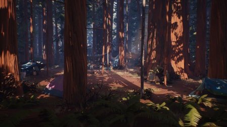 Игра Life is Strange 2 Коллекционное издание (Collector’s Edition) Русская Версия (PS4) Playstation 4