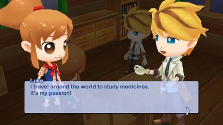 игра Harvest Moon: The Lost Valley and Skytree Village (Switch) для Nintendo Switch