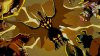 Dawn of the Monsters (Limited Run #020) (PS5)