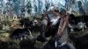 Ведьмак 3: Дикая Охота (The Witcher 3: Wild Hunt) Box (PC) 
