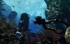 Игра Call of Duty: Ghosts Free Fall Edition (PS4) Playstation 4