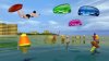   Water Sports (Wii/WiiU)  Nintendo Wii 