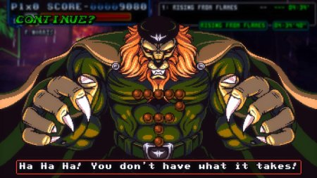 игра Fight'n Rage: 5th Anniversary Ограниченное издание (Limited Edition) (Switch) для Nintendo Switch