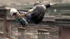 Купить игру Tony Hawk's Proving Ground (PS3) для Sony Playstation 3