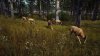 Way of the Hunter Русская Версия (PS5)
