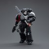  JoyToy:    1:18 (Intercessors Brother Colvane 1:18)  40K   (Warhammer 40K Raven Guard) (JT4591) 12   