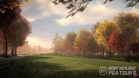  Rory Mcllroy PGA TOUR (PS4) Playstation 4