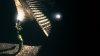 The Chronicles of Riddick: Assault on Dark Athena (Хроники Риддика) (Xbox 360)