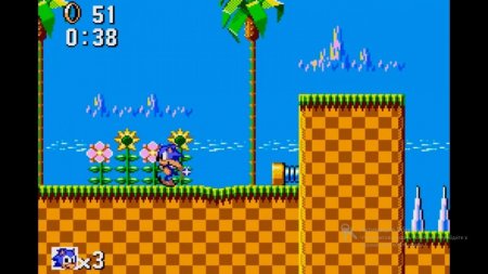   (Sonic The Hedgehog)   (8 bit)   