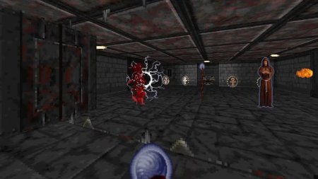 игра Rise of the Triad: Ludicrous Edition (Limited Run #249) (Switch) для Nintendo Switch