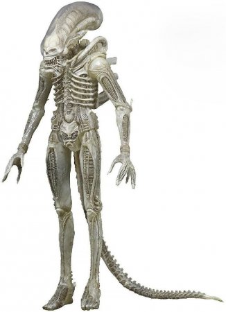  NECA: : 40-  (Alien: 40th Anniversary)   (Big Chap) (51596) 18 