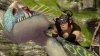 How to Train Your Dragon (Как приручить дракона) (Xbox 360)