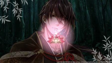 игра Birushana: Rising Flower of Genpei (Switch) для Nintendo Switch