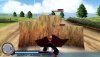  Full Metal Alchemist: Brotherhood (Стальной алхимик Братство) (PSP) 