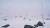 игра Unto the End (Switch) для Nintendo Switch