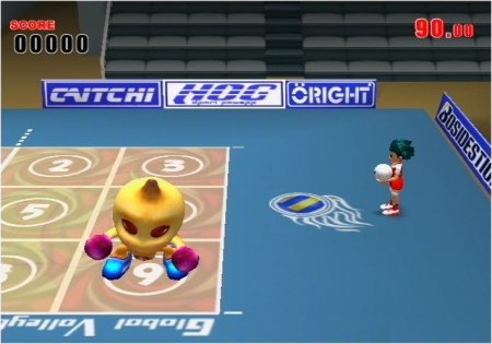 Volleyball Challenge (PS2)