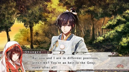 игра Birushana: Rising Flower of Genpei (Switch) для Nintendo Switch