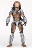  NECA:  (Hornhead)    (Alien vs. Predator) (Series 18) 17 