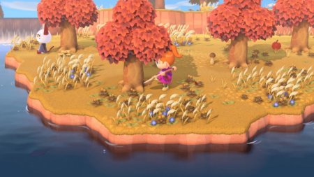 Animal Crossing: New Horizons Русская Версия (Switch 2)