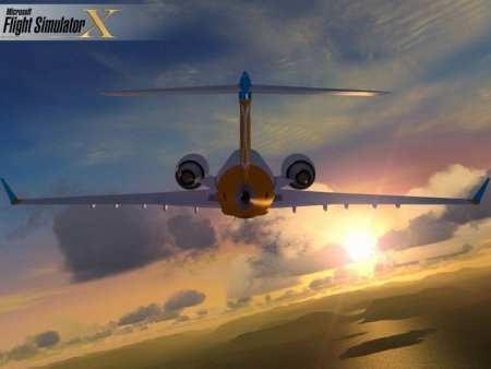 Microsoft Flight Simulator X Gold Edition (PC) 