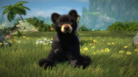 Kinectimals: Новые герои медведи! для Kinect Русская Версия (Xbox 360) USED Б/У